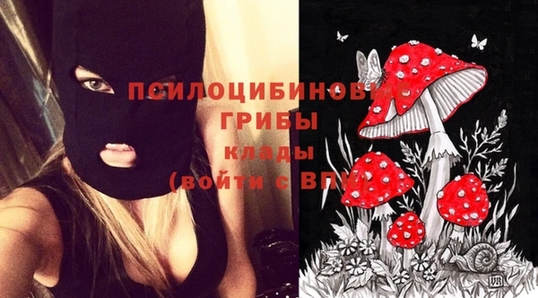 прущие крисы Армянск