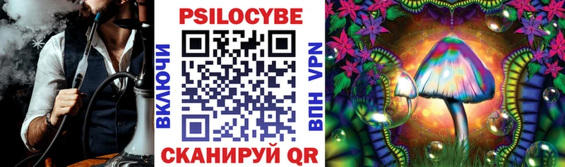 Псилоцибиновые грибы мицелий  Большой Камень 